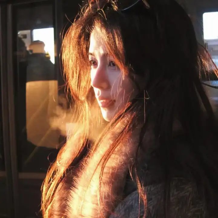 春燕展翅 在线观看