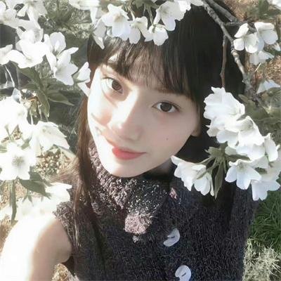 蛋糕合唱团 在线观看